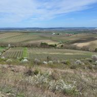 NPP Dunajovické kopce - výhled z Velké Slunečné na sever