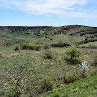 NPP Dunajovické kopce - výhled z Velké Slunečné 