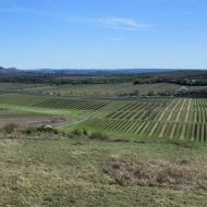 NPP Dunajovické kopce - výhled z Velké Slunečné na jih s Mikulovem v pozadí