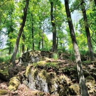 Gabrový výchoz u Horušic na Kutnohorsku