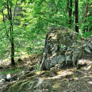 Gabrový výchoz u Horušic na Kutnohorsku