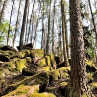 Skály u Obřích postelí na Kutnohorsku