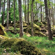 Skály u Obřích postelí na Kutnohorsku