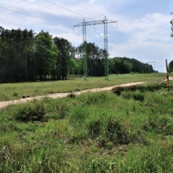 Ceta a průsek s elektrickým vedením