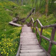 Gargždų (Kalniškės) piliakalnis - dřevěné schody na začátku stezky