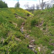 Gargždų (Kalniškės) piliakalnis 