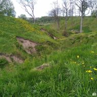 Gargždų (Kalniškės) piliakalnis 