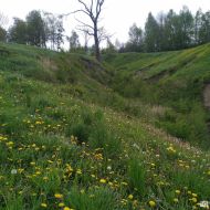 Gargždų (Kalniškės) piliakalnis 