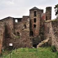 Zřícenina hradu Hasištejn
