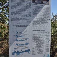 hegyestu-madarska-panska-skala_18