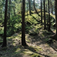 libeshohe-hojsova-straz_03