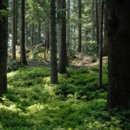 libeshohe-hojsova-straz_07
