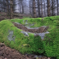 Mechový kámen v lese na Hradišti u Libětic
