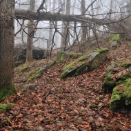 Libětice - pozůstatky hradiště na vrcholu