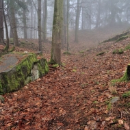 Libětice - pozůstatky hradiště na vrcholu
