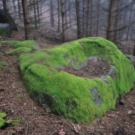 Mechový kámen v lese na Hradišti u Libětic