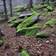 Mechové kámeny v lese na Hradišti u Libětic