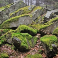 Mechové kámeny v lese na Hradišti u Libětic