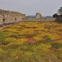 Hukvaldy - hrad