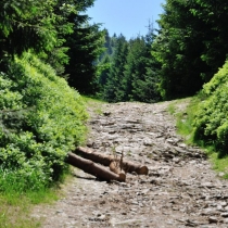 Ještěd