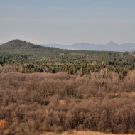 Zřícenina Jestřebí