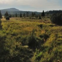 Šumava - Jezerní slať