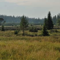 Šumava - Jezerní slať