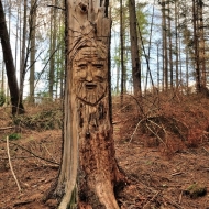 Jihlavské kamenné řady