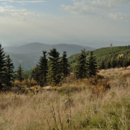 jizerske-hory_smrk_08