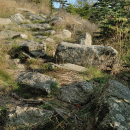 jizerske-hory_smrk_12