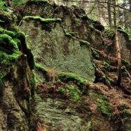 kamenec-u-myslivny_02