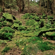 kamenec-u-myslivny_03
