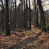 Okolo Ratají nad Sázavou