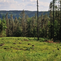 rataje-talmberk-mrchojedy-sazava-skalice_39