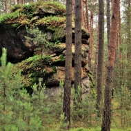 kokorinsko-harfenice-had-certovy-hlavy_03