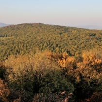 kostalov_06