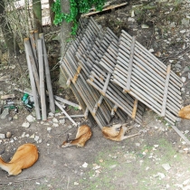 Košumberk