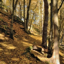 Kozí hřbet