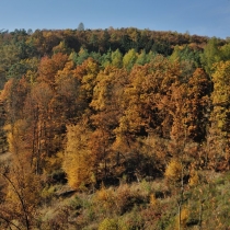 Kozí hřbet