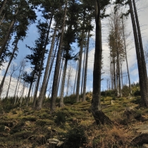 Kralický Sněžník