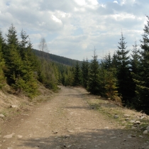 Kralický Sněžník