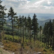Kralický Sněžník