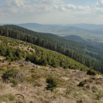 Kralický Sněžník