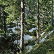 Kralický Sněžník