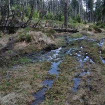 Kralický Sněžník