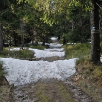 Kralický Sněžník