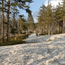 Kralický Sněžník