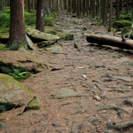 novohradske-hory-kravi-hora_22