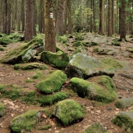 novohradske-hory-kravi-hora_01