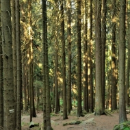 novohradske-hory-kravi-hora_02